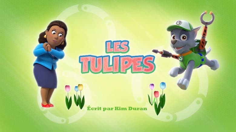 Les Tulipes