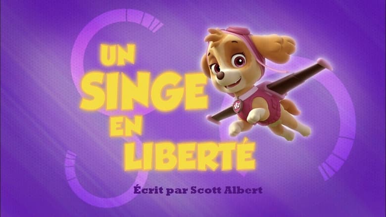 Un Singe en liberté