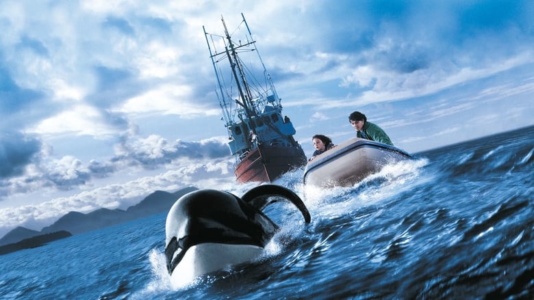 Sauvez Willy 3 : La poursuite