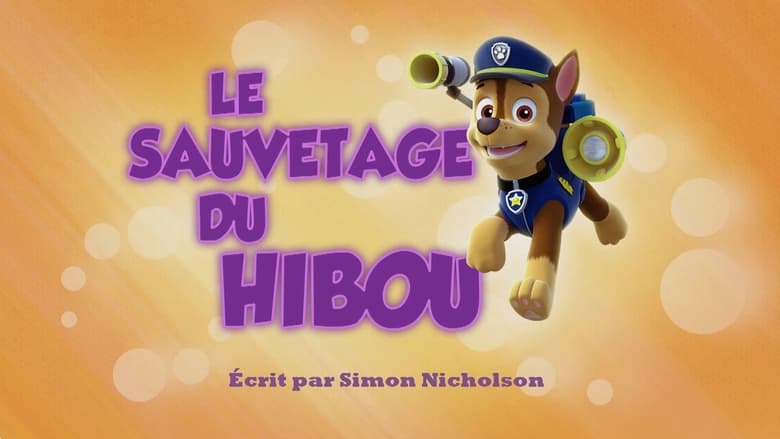 Le Sauvetage du hibou