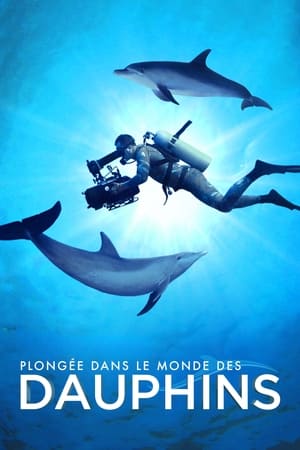 Plongée dans le Monde des Dauphins