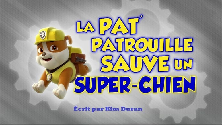 La Pat’ Patrouille sauve un super-chien