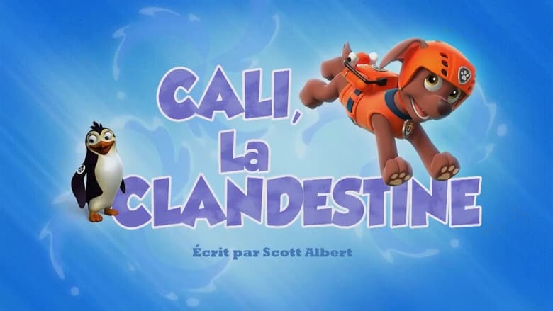 Cali la clandestine