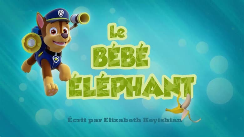 Le Bébé éléphant