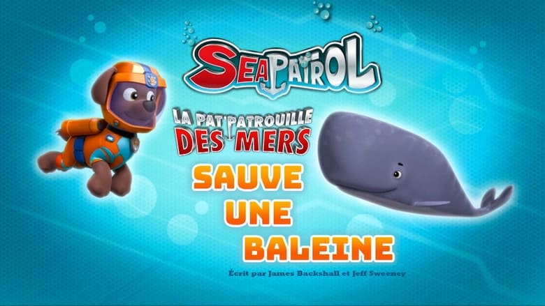 La Pat' Patrouille des mers sauve une baleine