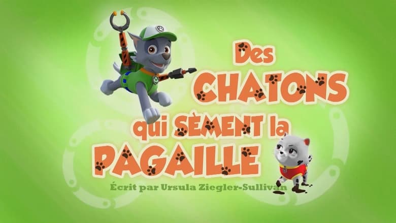 Des Chatons qui sèment la pagaille