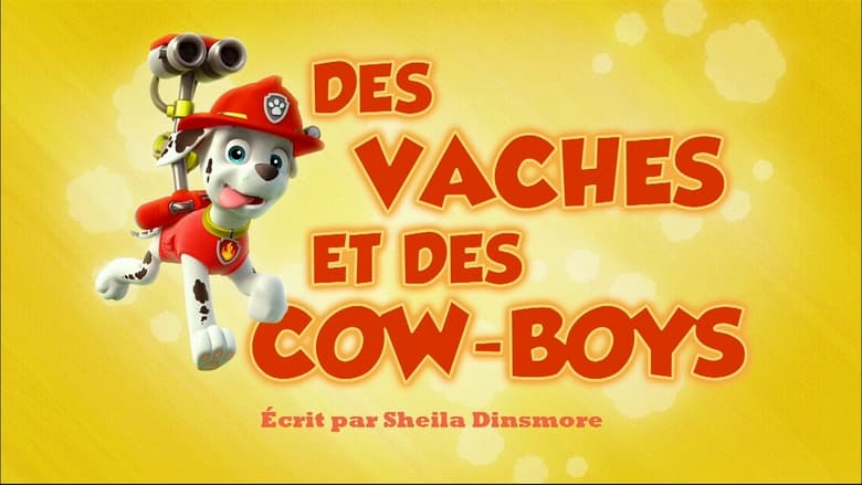 Des Vaches et des Cow-boys