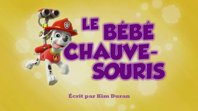 Le Bébé chauve-souris