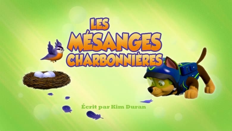 Les Mésanges charbonnières