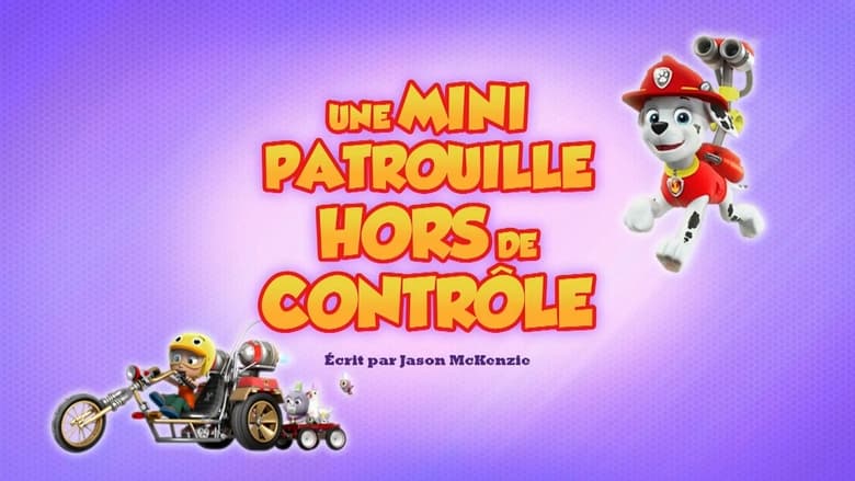 Une Mini Patrouille hors de contrôle