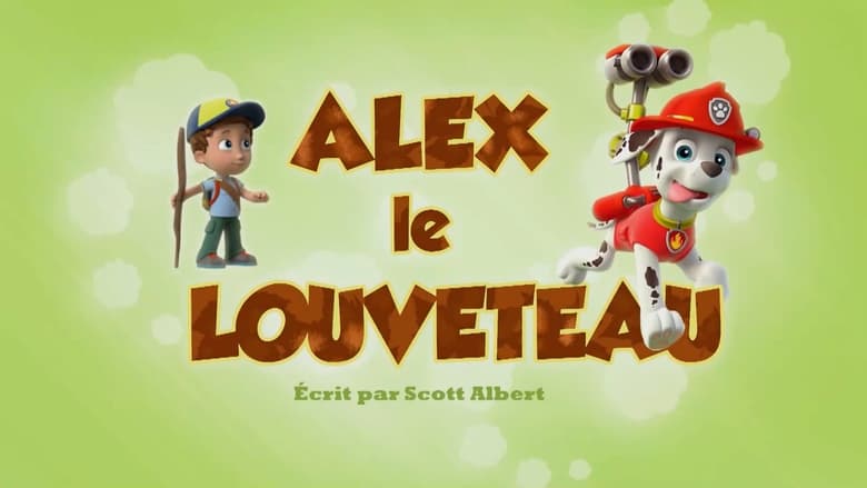 Alex le louveteau