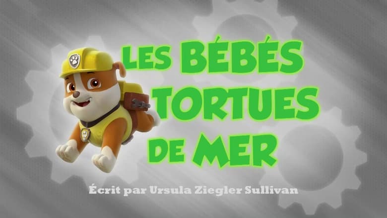 Les Bébés tortues de mer