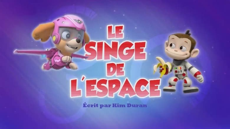 Le Singe de l'espace