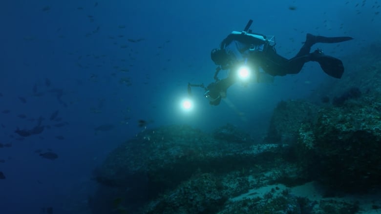 Atlantide, la cité perdue