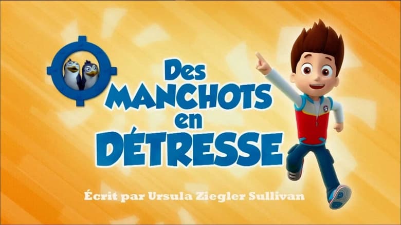 Des Manchots en détresse