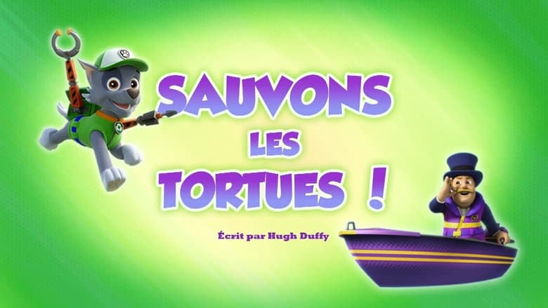 Sauvons les tortues